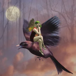 Flight, 2014, (digitalt collage)